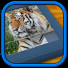 Kids Animal Slide Puzzles - Mystic Squares, 15 puzzle for children of all ages