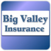 Big Valley Insurance for iPad