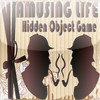 Hidden Object Game - Amusing Life