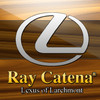 Ray Catena Lexus DealerApp