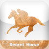 SSA Secret Horse