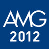 AMG Annual Report 2012
