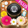 cute photo app photodeco+-collage, filter(Toy,Lomo etc), stamps frames- Let’s decorate photos!