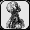 Atlas of Anatomy 2D