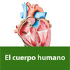 El cuerpo humano. Enciclopedia Visual de las Preguntas.