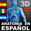 Cuerpo Humano 3D Anatomia