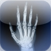 Skeletal Anatomy 3D - Quiz and Reference