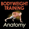 Bodyweight Training Anatomy