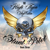 RC High Flyin' SkyWritin' Stunt Pilot, Desert Edition