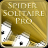 Spider Solitaire Pro for iPad