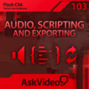 AV for Flash CS6 103 - Audio, Scripting and Exporting