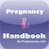 Pregnancy Handbook FREE