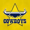 Official 2013 North Queensland Cowboys