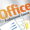 Professional Course for Microsoft Office 2010
