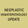 2012 Neoplastic Hematopathology Update