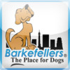 Barkefellers The Place for Dogs