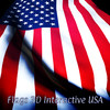 USA Flags 3D Interactive