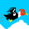 Flying Condor - The Adventure of a Flying Big Bird Condor