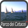 Parco dei Cetacei (Mar Ligure) HD - Nautical Chart