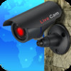 Live cams - 4000+ live cameras worldwide