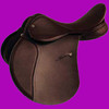 Physical Horse 2 - Equestrian Horsemanship Reference App