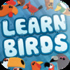 Learn About Birds Preschool Lunchbox Adventure - 3 in 1 Free Educational Game - Teach Preschool Kids and Children Bird Names in a Fun and Interactive Way by ABC BABY
