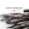 lvl svn agency capabilities