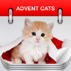 Kitten Advent Calendar 2011