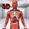 Human Anatomy Pro 3D