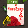 Relaxing Sounds of Nature Lite