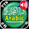 High Tech Arabic vocabulary trainer Application with Microphone recordings, Text-to-Speech synthesis and speech recognition as well as comfortable learning modes.