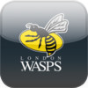 WASPS: The Official Matchday Programmes for London WASPS fans!
