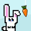 Hungry Bunny: Catch the Carrot