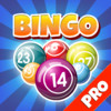 Bingo Mania - Bingo Casino Hall Game - Pro Edition