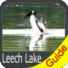 Leech Lake - Fishing