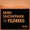 Park Feldberg