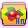 Video Slot Classic HD
