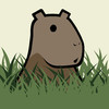 Capybara UX
