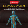 Nervous System - Jr. Animated Atlas series