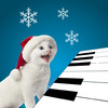 Animated 3D Singing Kitten Piano