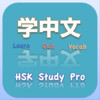 HSK Study Pro