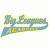 Big Leagues Academy