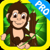The Tarzan Jungle Swing Pro