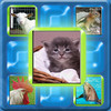 Kids Can Match - Animals , vocal memory game for children : full version HD !