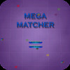 Mega Matcher