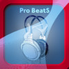 Pro BeatS (Hip-Hop Edition)