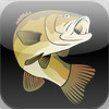 Wisco Fishing Resource Guide