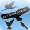 Birds Around the World
