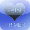 Fetal Cardiac Abnormalities: A Primer for the Clinician