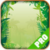 Game Pro - Donkey Kong Country Returns Version